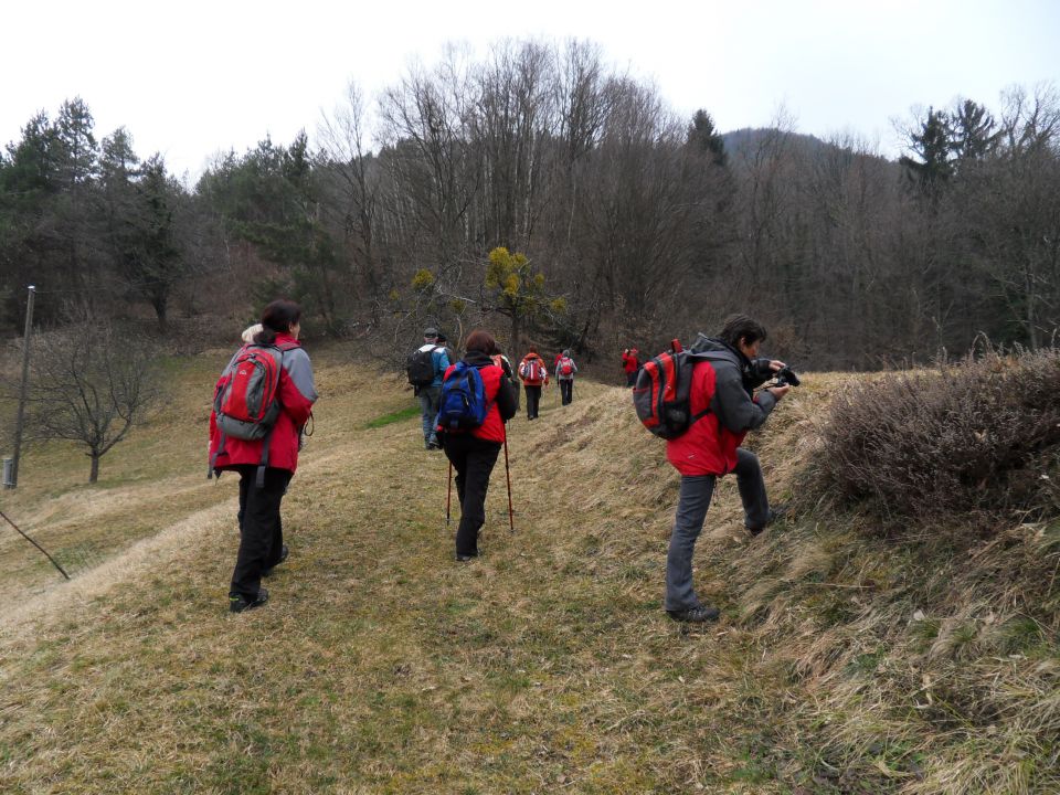 11. 3. 2015 - foto povečava