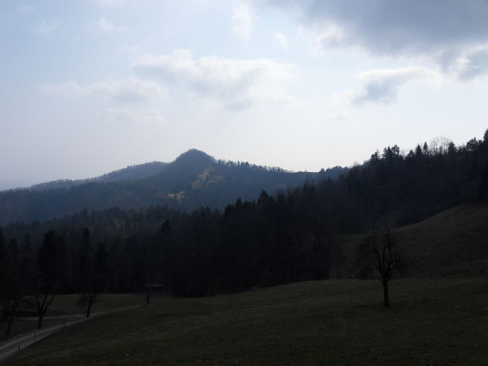 14. 3. 2015 - foto povečava