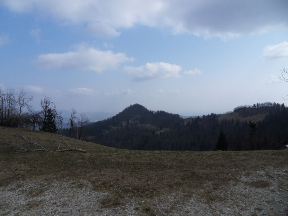 14. 3. 2015 - foto povečava