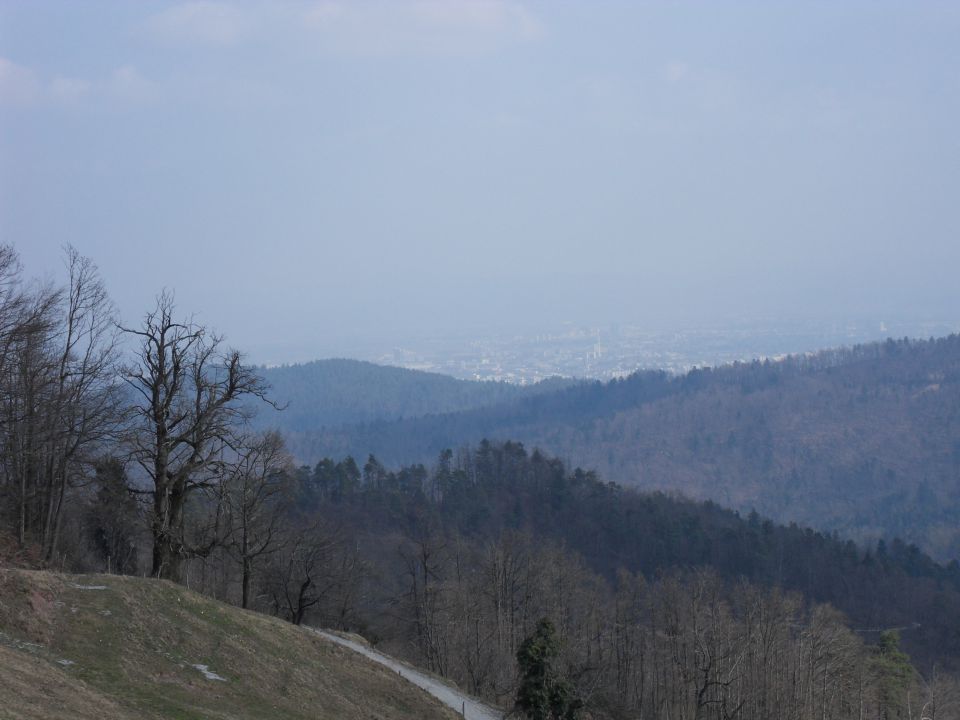 14. 3. 2015 - foto povečava