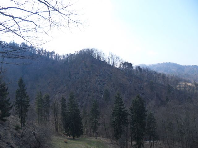 14. 3. 2015 - foto