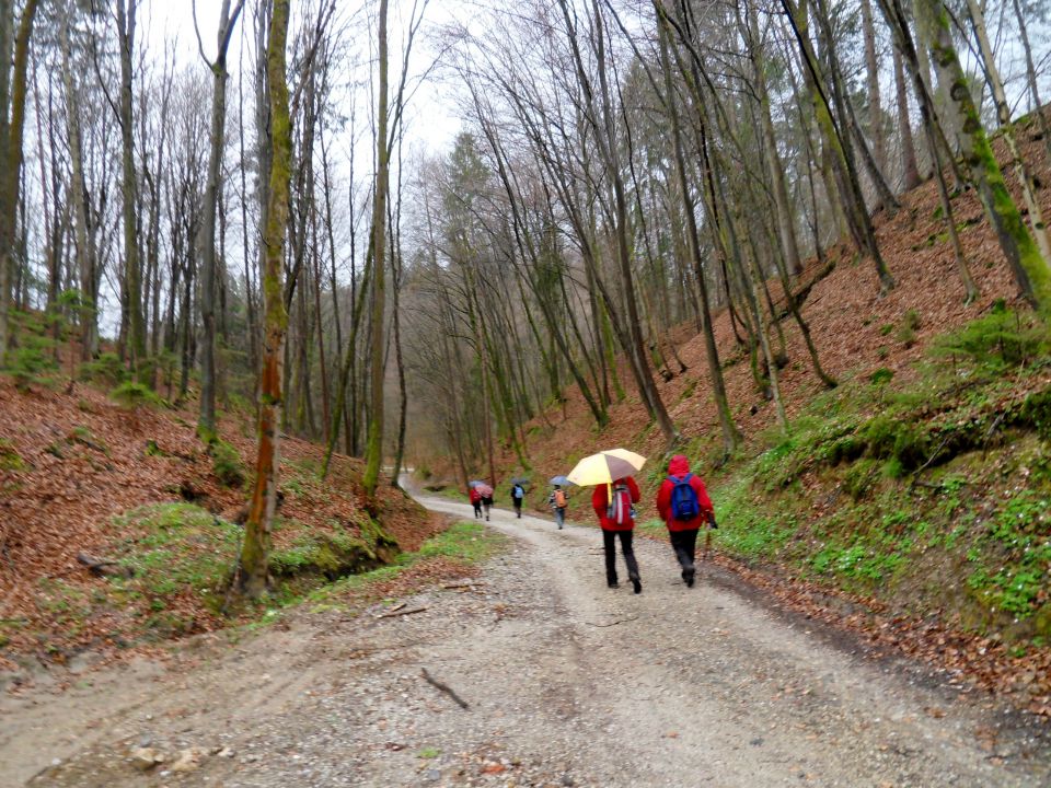 1. 4. 2015 - foto povečava