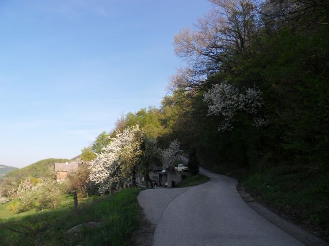 20. 4. 2015 - foto