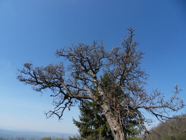 20. 4. 2015 - foto