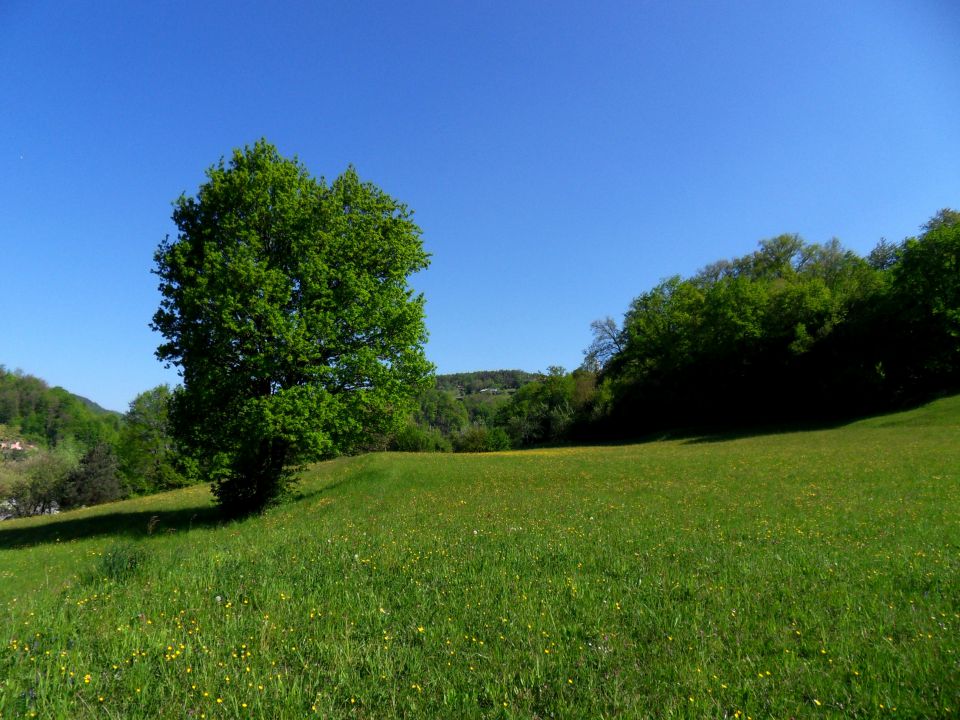 26. 4. 2015 - foto povečava