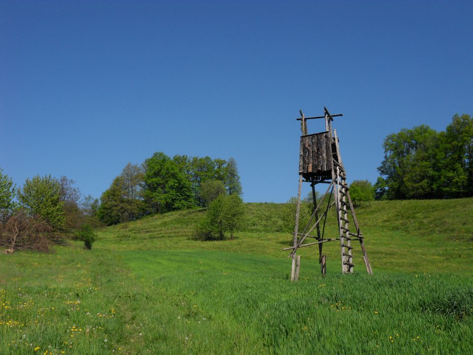 26. 4. 2015 - foto povečava