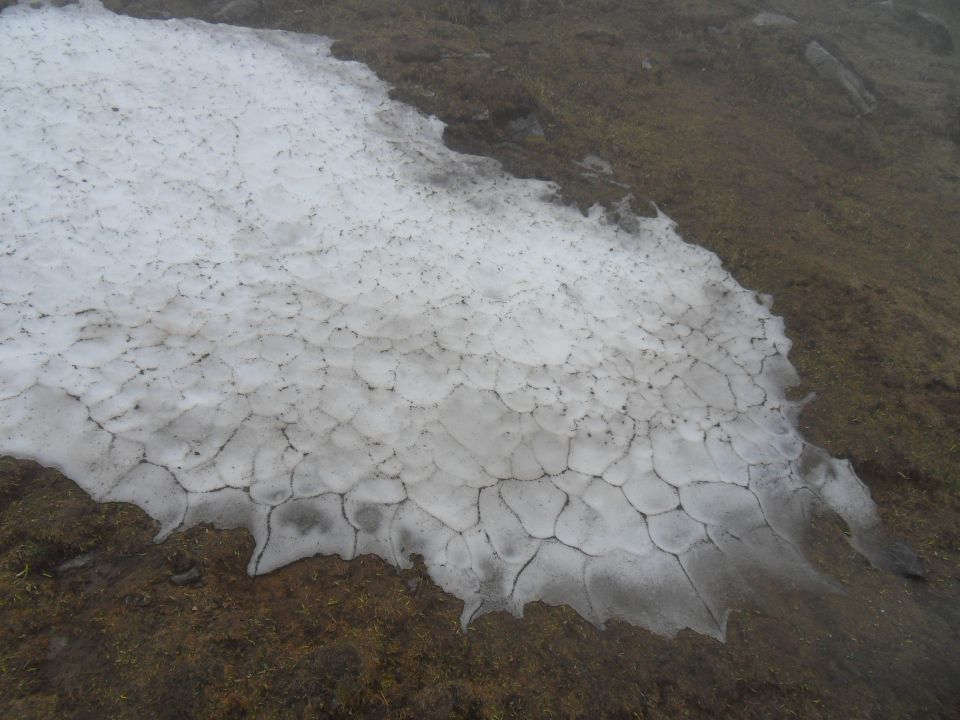 27. 4. 2015 - foto povečava