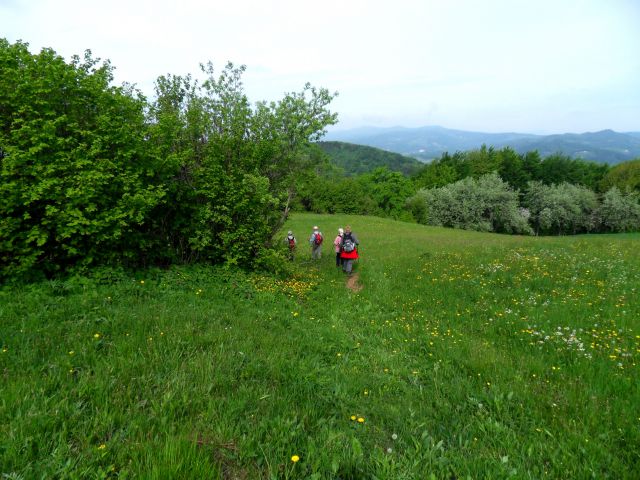 4. 5. 2015 - foto
