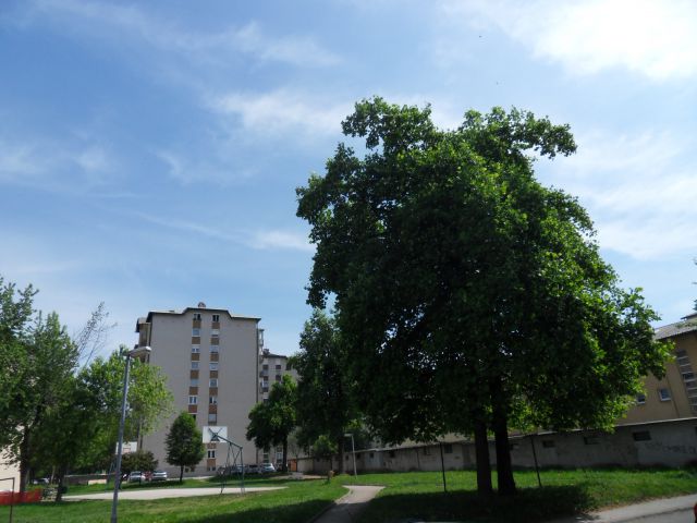 13. 5. 2015 - foto