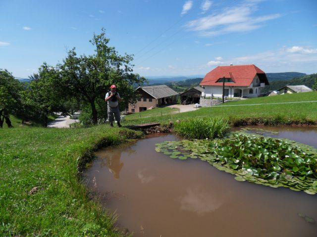 22. 6. 2015 - foto