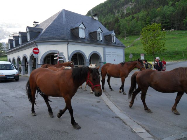 29. 5. 2015 - foto