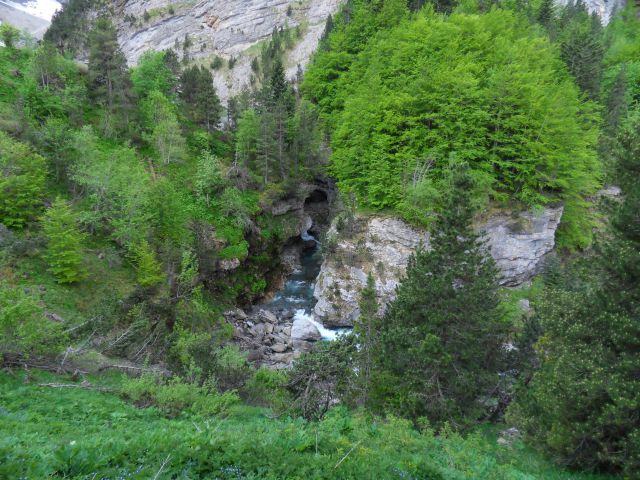 29. 5. 2015 - foto