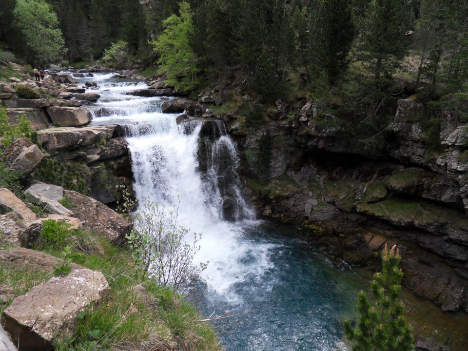 31. 5. 2015 - foto povečava