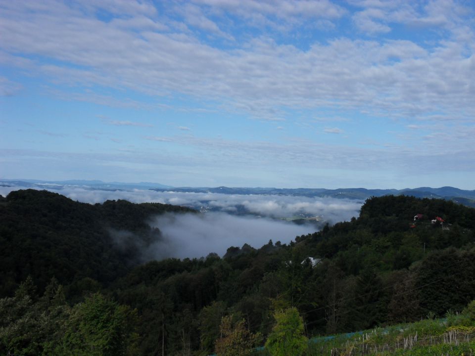 7. 9. 2015 - foto povečava