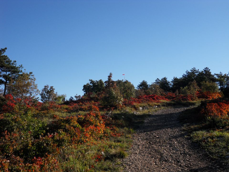 20. 10. 2015 - foto povečava