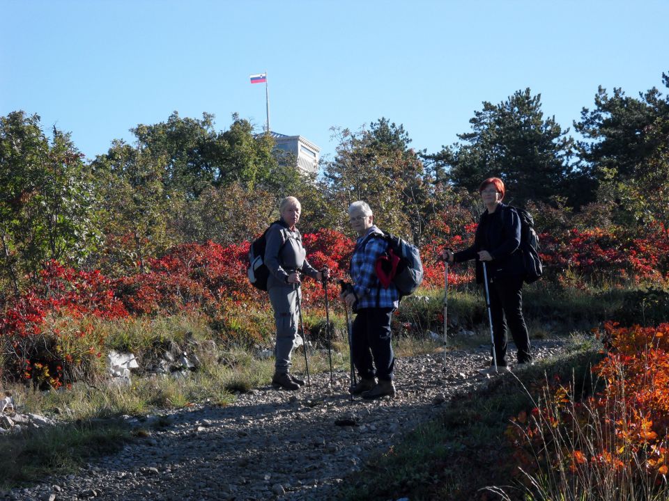 20. 10. 2015 - foto povečava