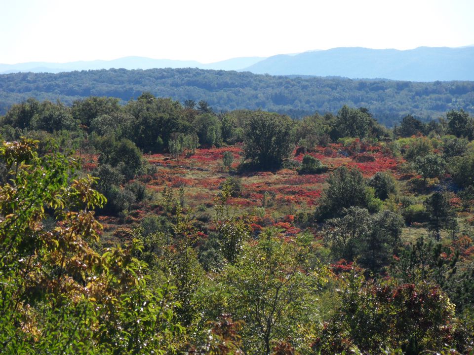 20. 10. 2015 - foto povečava