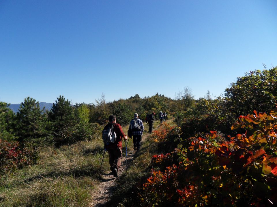 20. 10. 2015 - foto povečava