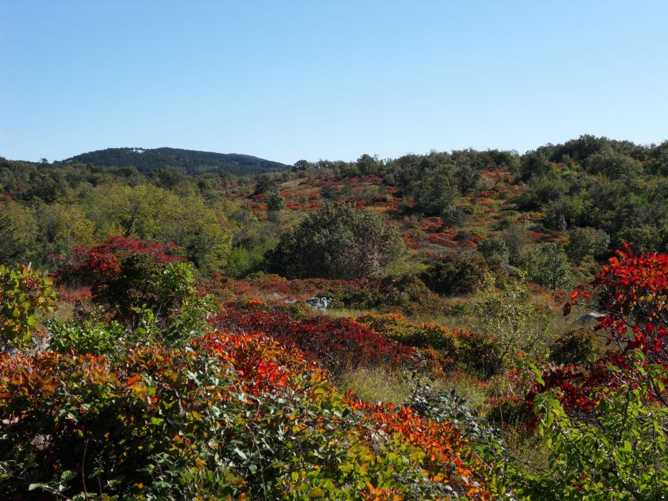 20. 10. 2015 - foto povečava