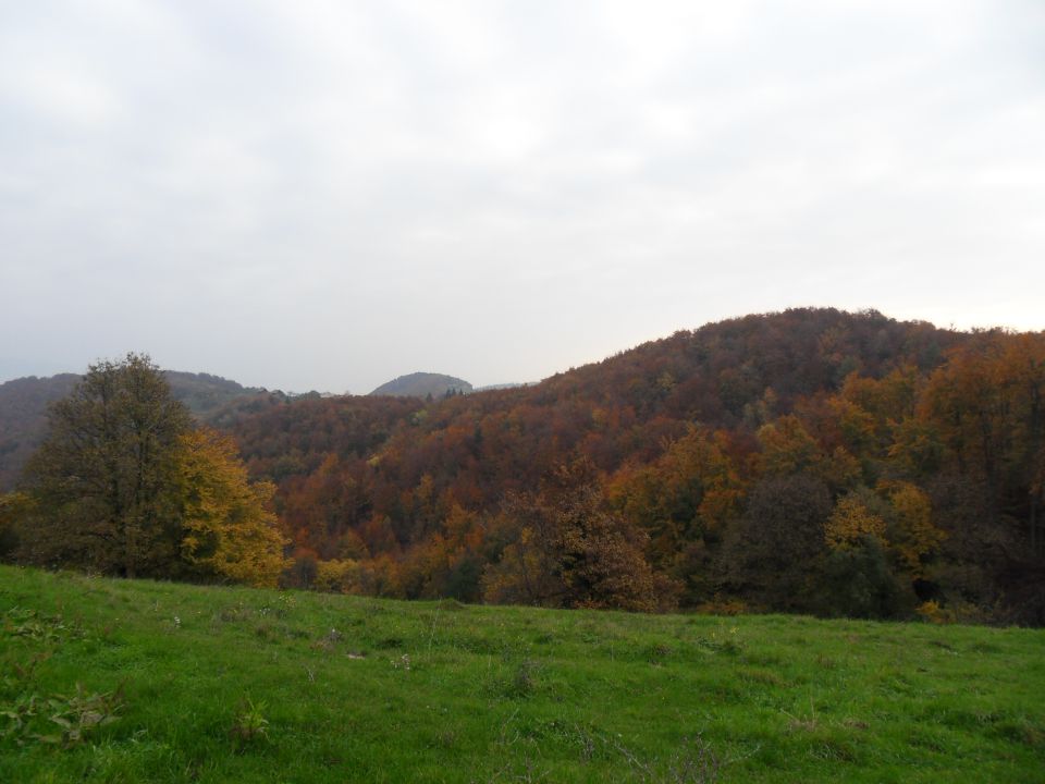 26. 10. 2015 - foto povečava