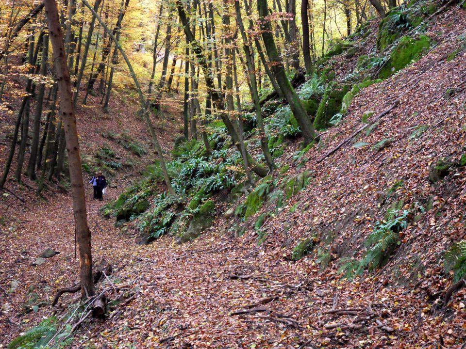 26. 10. 2015 - foto povečava