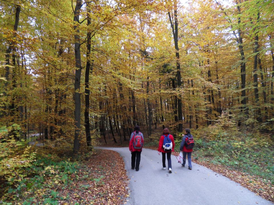 28. 10. 2015 - foto povečava