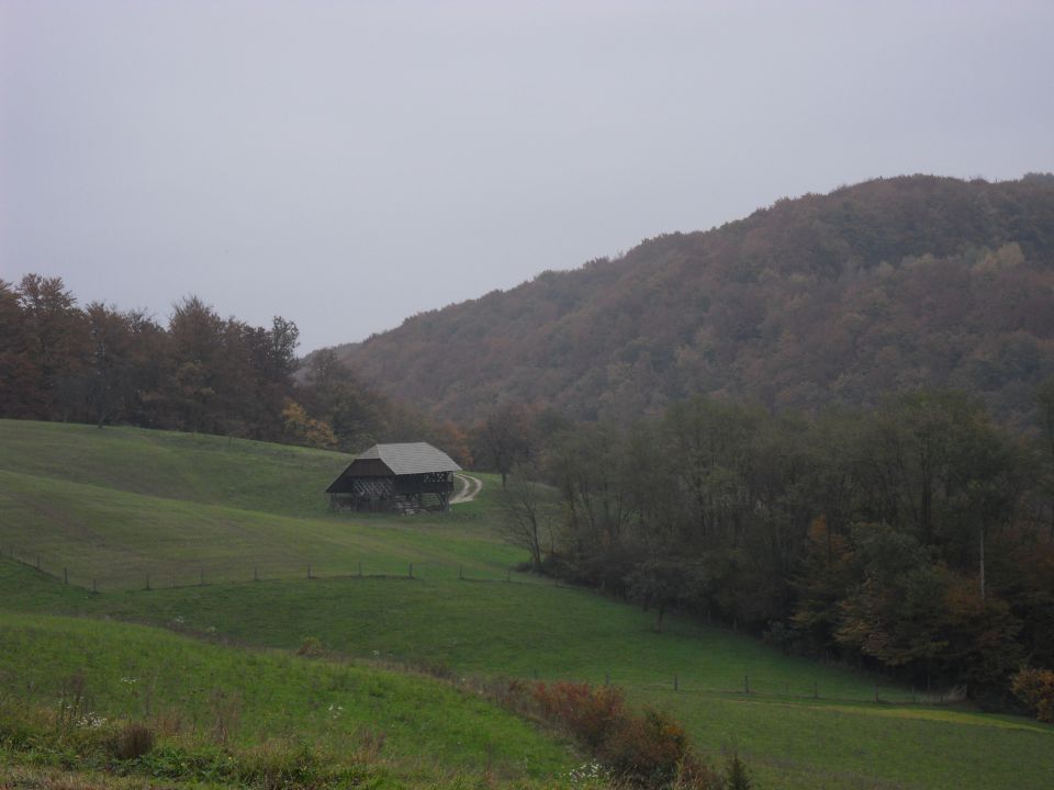 28. 10. 2015 - foto povečava