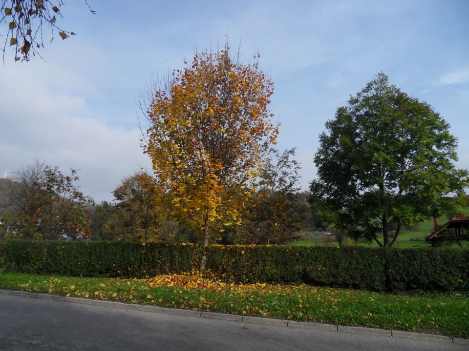 28. 10. 2015 - foto povečava