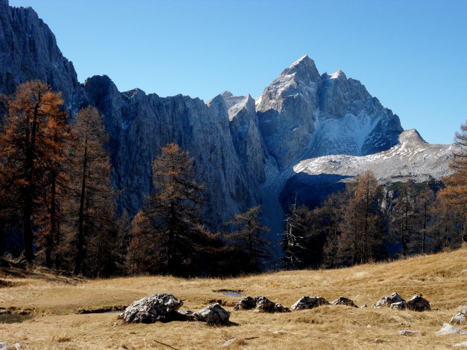 2. 11. 2015 - foto povečava