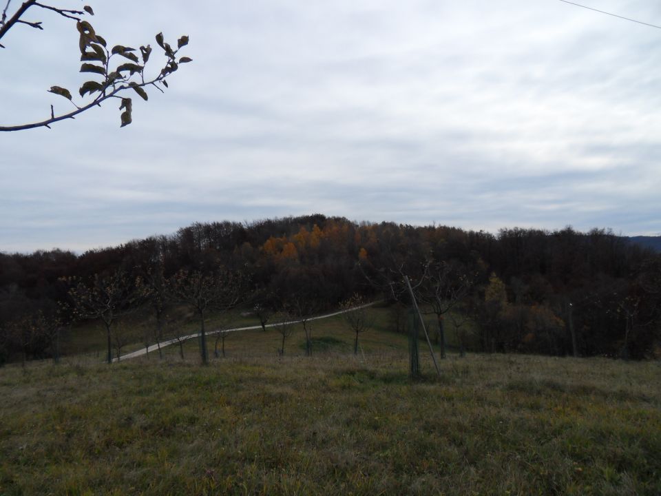 10. 11. 2015 - foto povečava