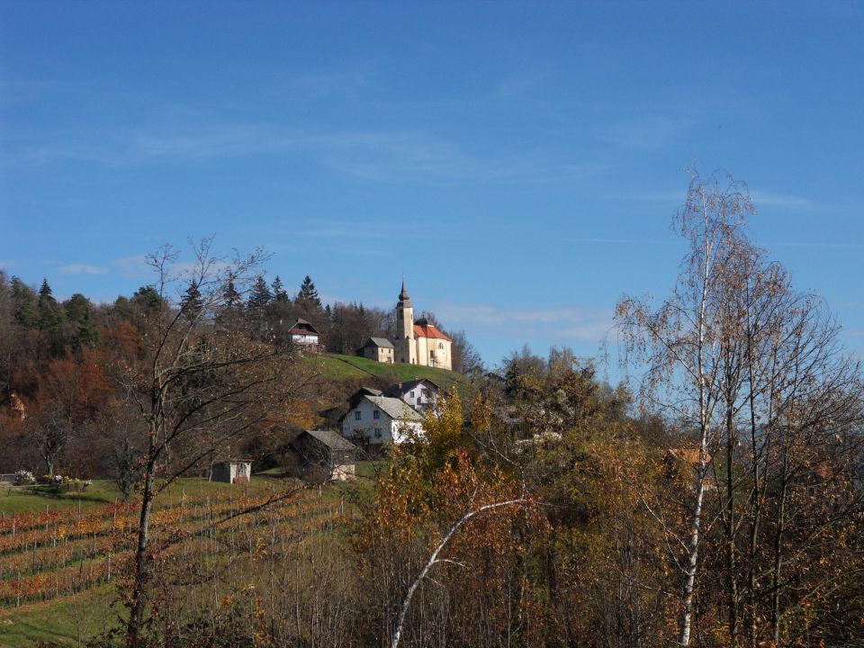 11. 11. 2015 - foto povečava