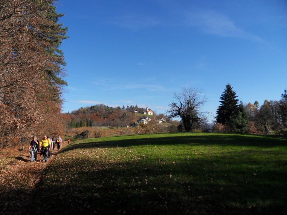 11. 11. 2015 - foto povečava