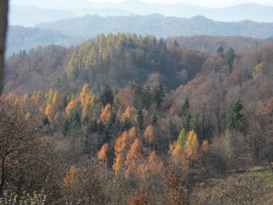 11. 11. 2015 - foto povečava