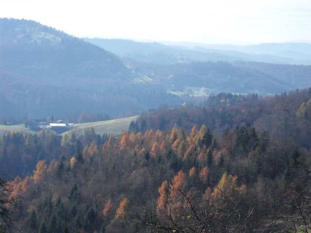 11. 11. 2015 - foto