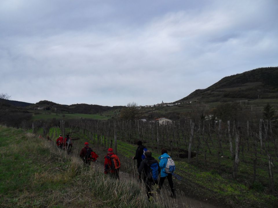 22. 11. 2015 - foto povečava