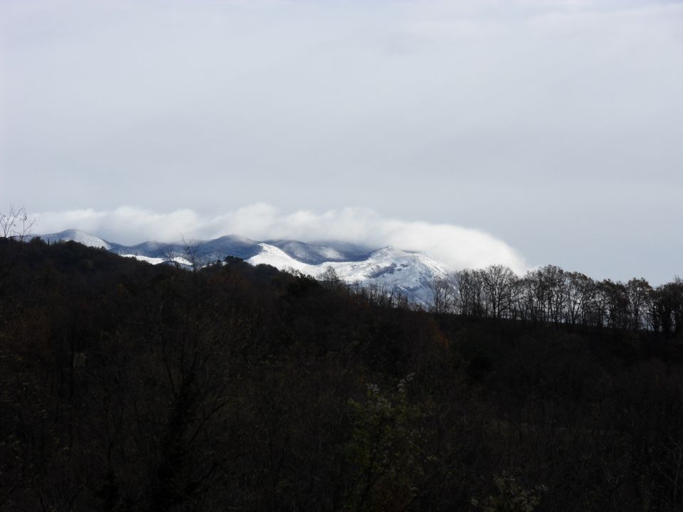 22. 11. 2015 - foto povečava