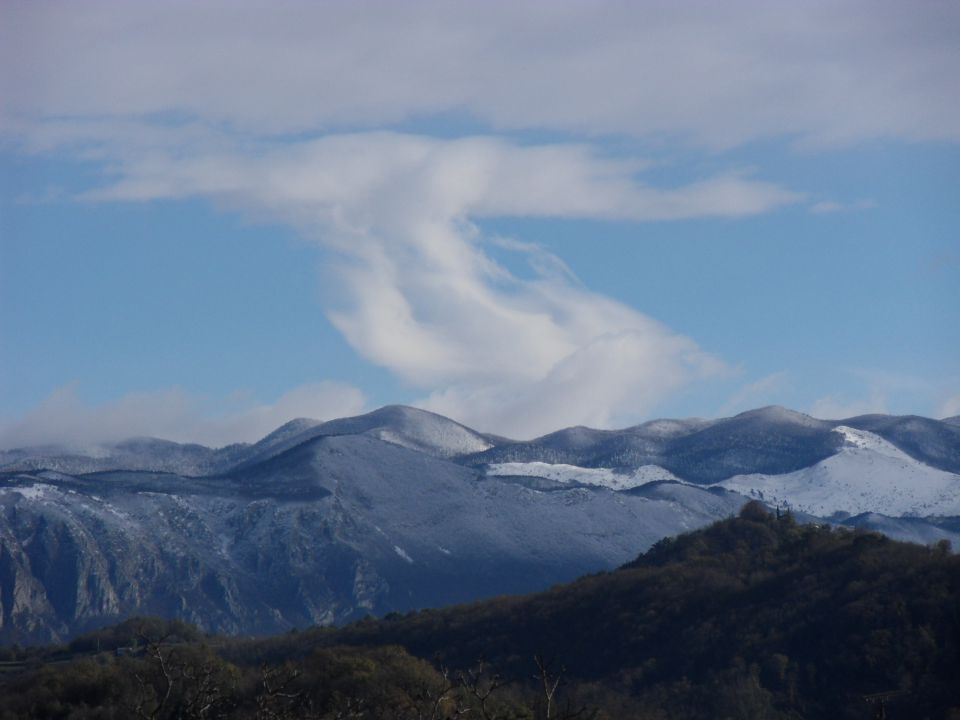 22. 11. 2015 - foto povečava