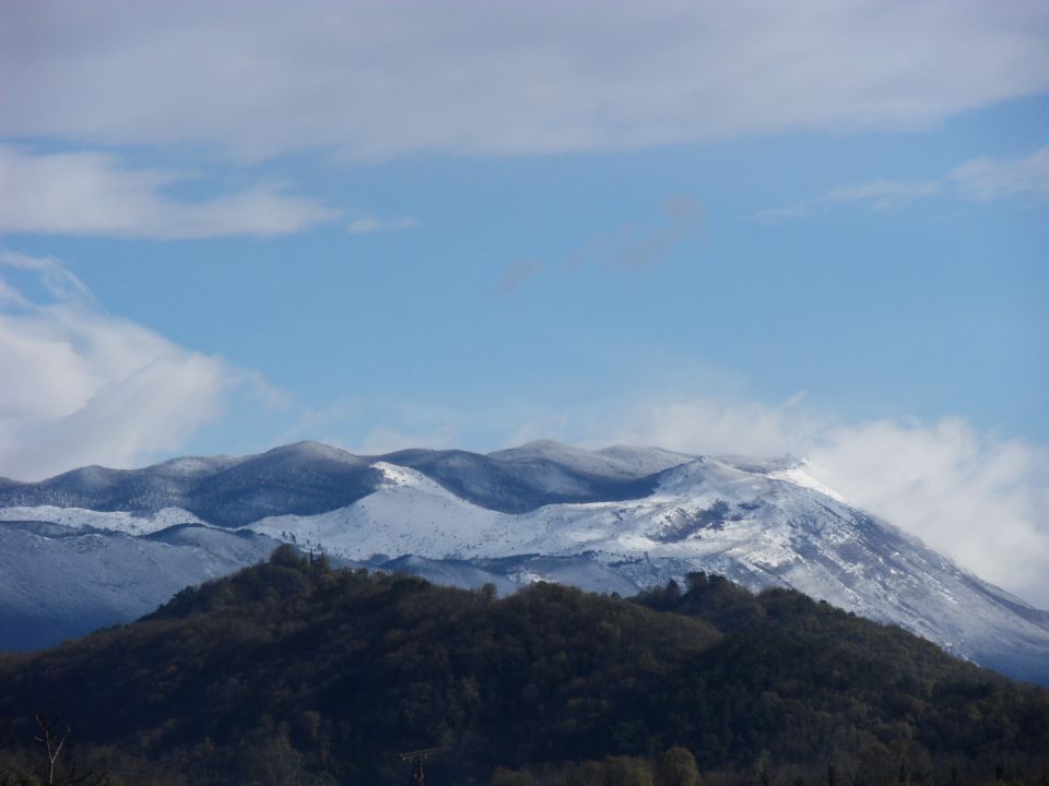 22. 11. 2015 - foto povečava