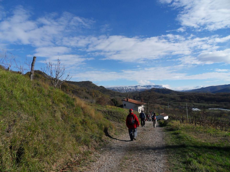 22. 11. 2015 - foto povečava