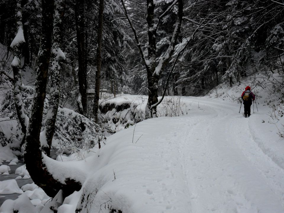 3. 1. 2016 - foto povečava