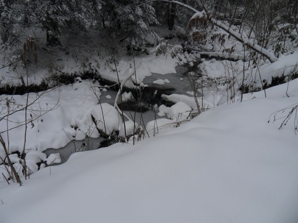 3. 1. 2016 - foto povečava