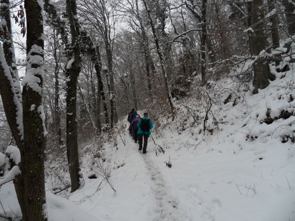 6. 1. 2016 - foto povečava