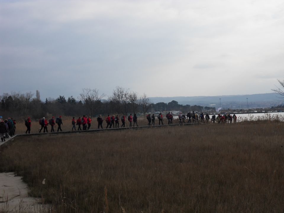 23. 1. 2016 - foto povečava