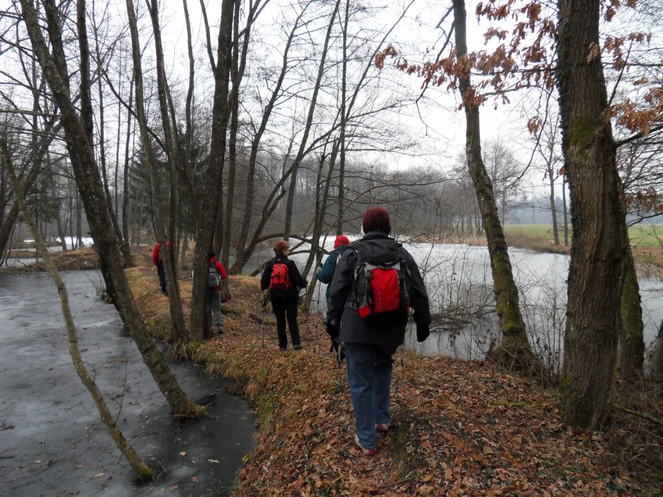 25. 1. 2016 - foto povečava