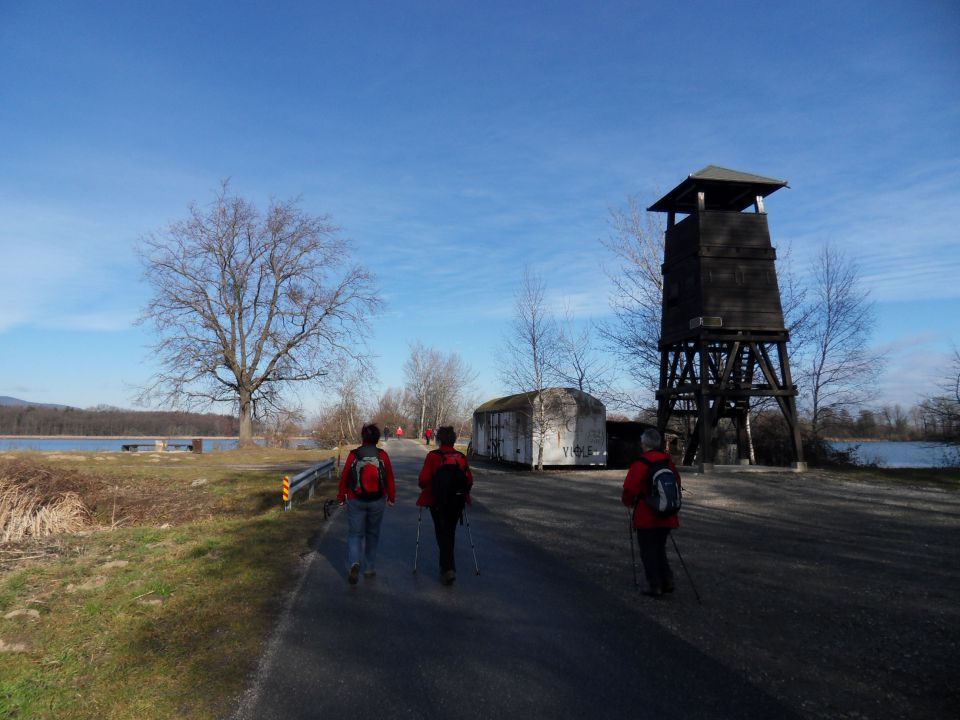 1. 2. 2016 - foto povečava