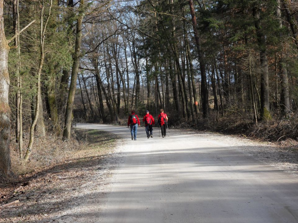 1. 2. 2016 - foto povečava