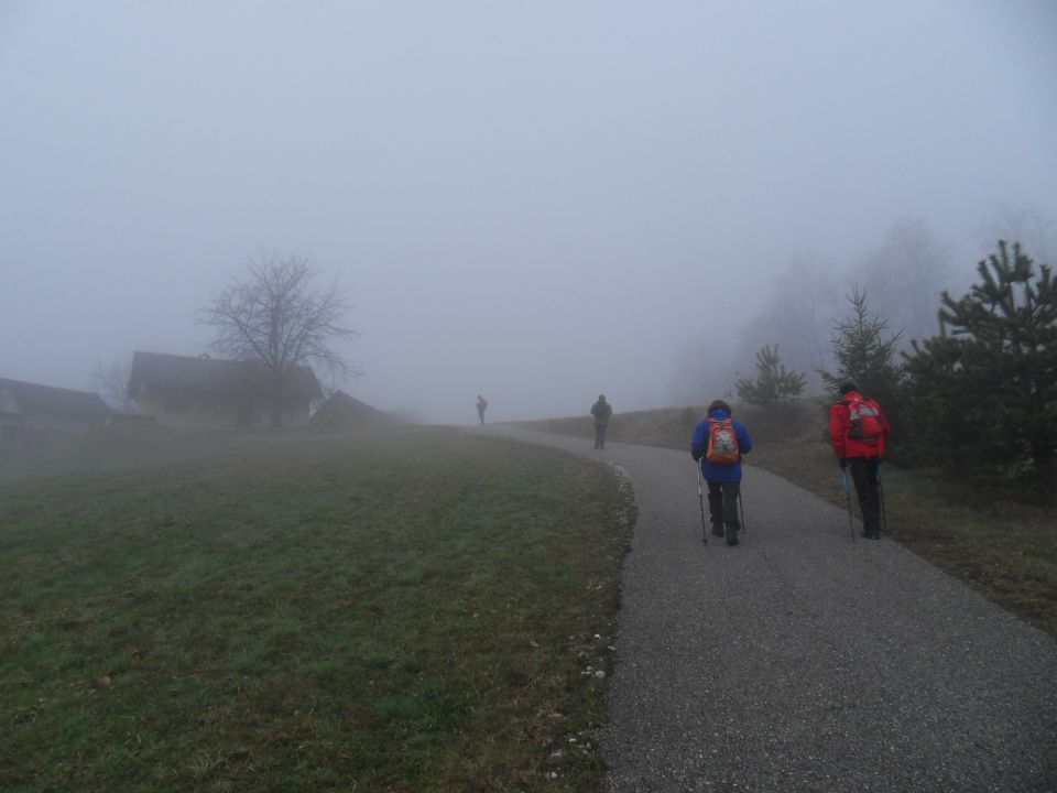 2. 3. 2016 - foto povečava