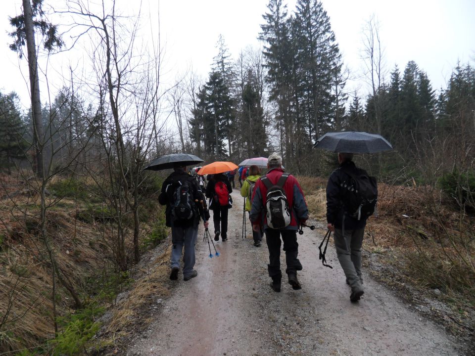 21. 3. 2016 - foto povečava