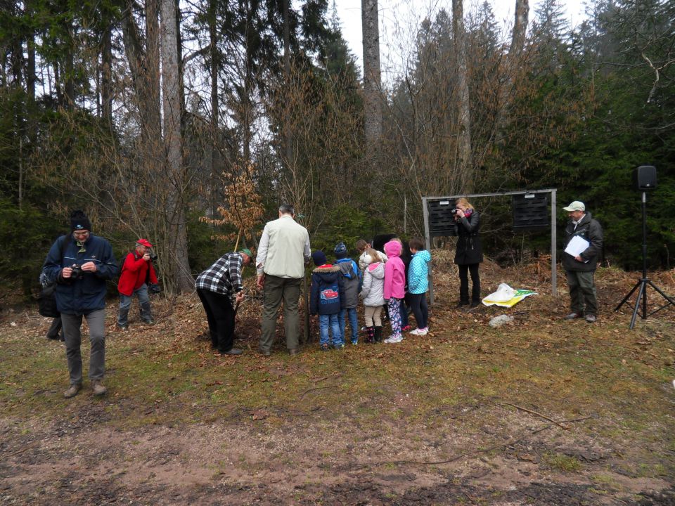 21. 3. 2016 - foto povečava