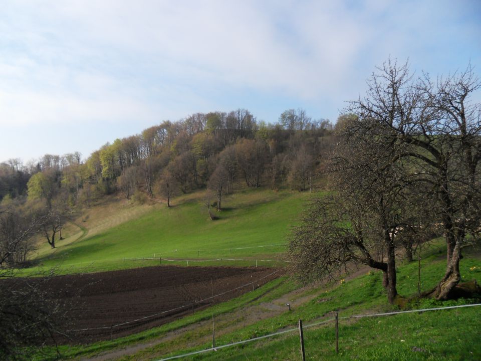 11. 4. 2016 - foto povečava